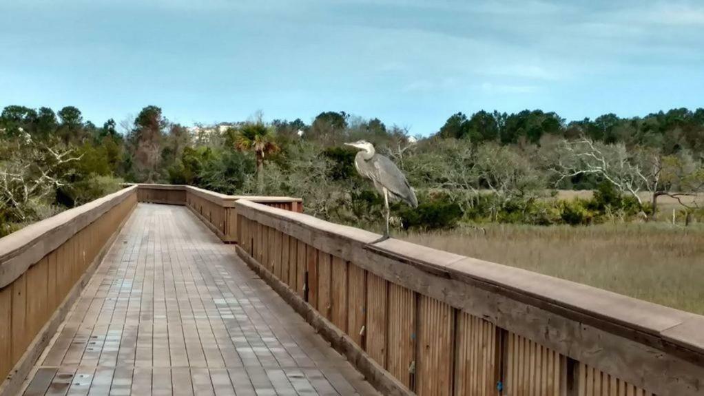Hilton Head Resort Hilton Head Island Exterior photo